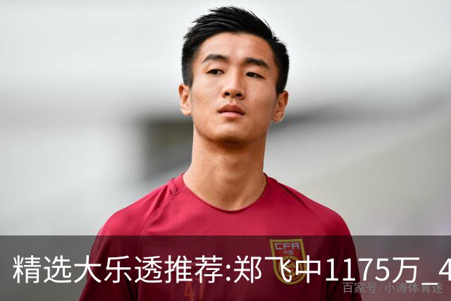 精选大乐透推荐:郑飞中1175万 4大专家中100万